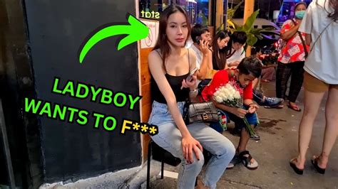 ladyboy moo|MOO 1 Porn Videos and Bio .